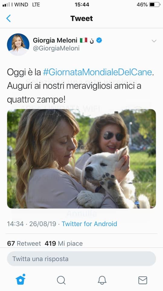 20190826GiornataMondialeCane