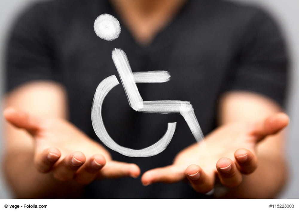 20191108Consultadisabilit
