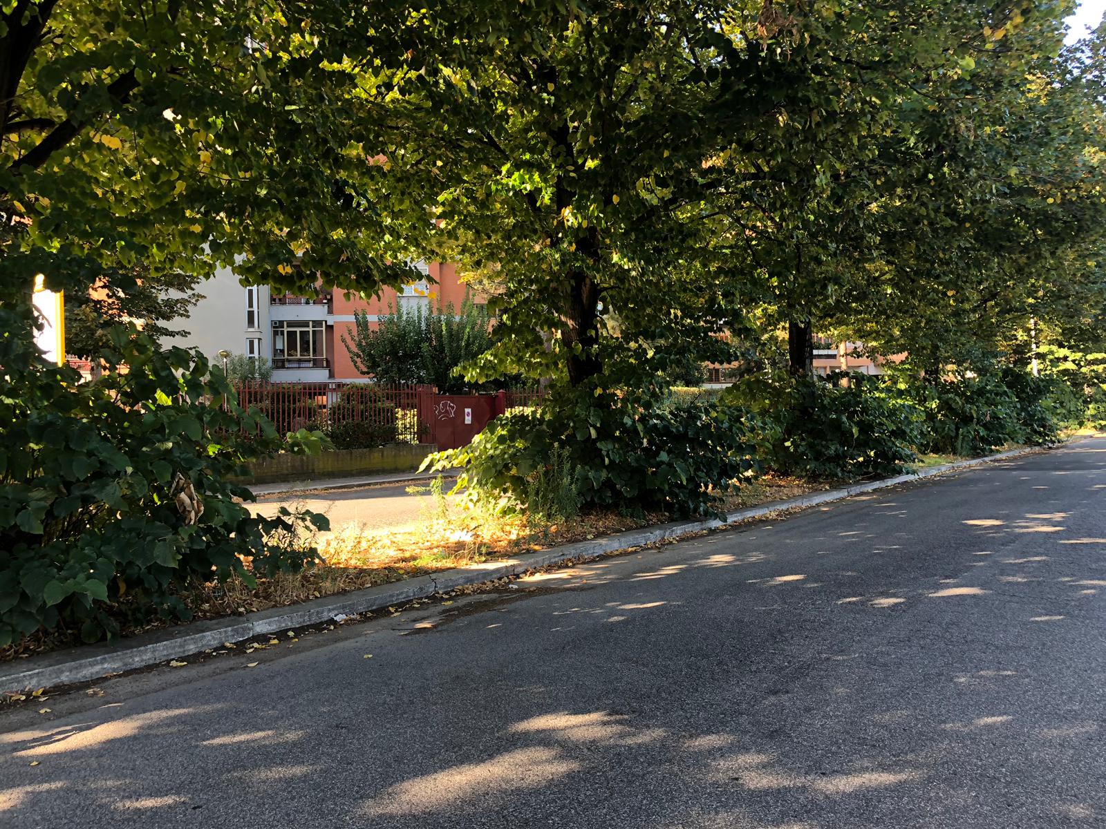20191005GiunglaUrbana