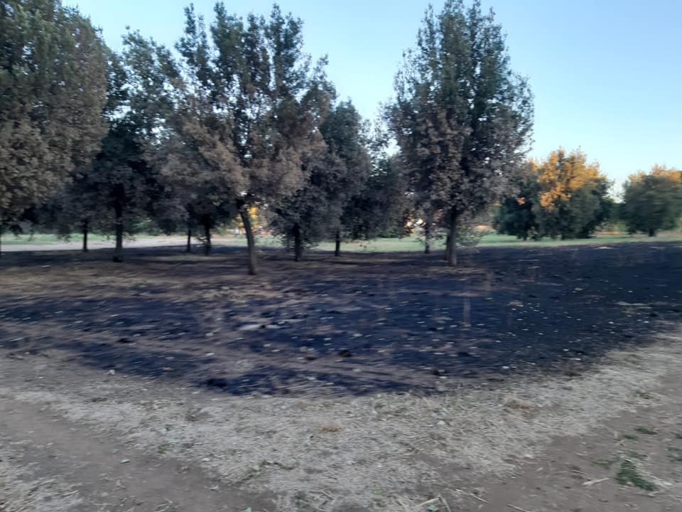 20200820IncendioTorTreTeste