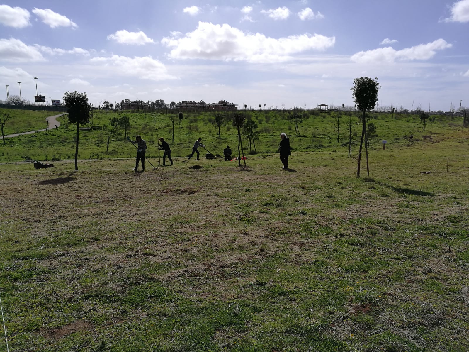 20200204ParcoVialeDeChirico