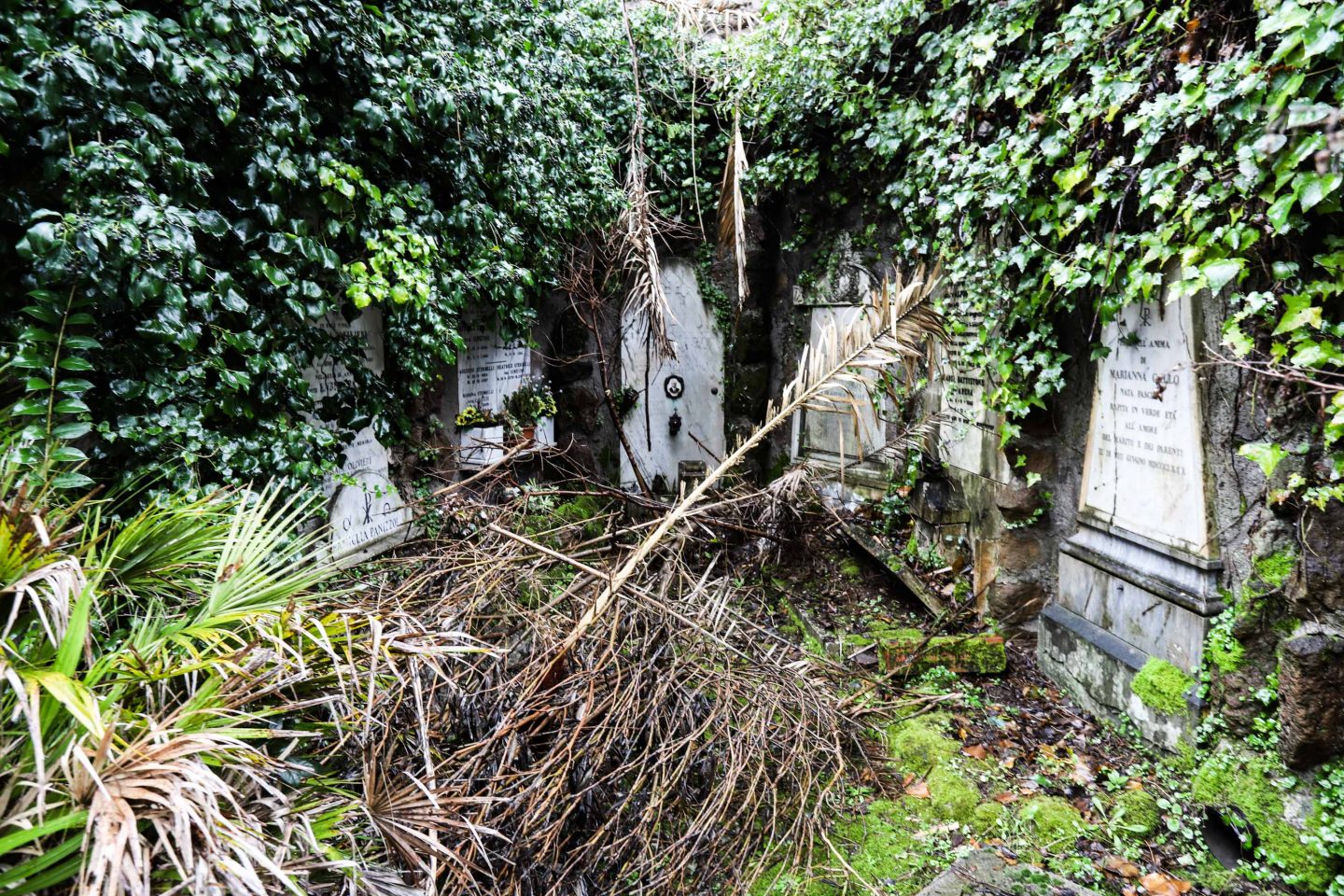 20200619CimiteroVeranoDegrado