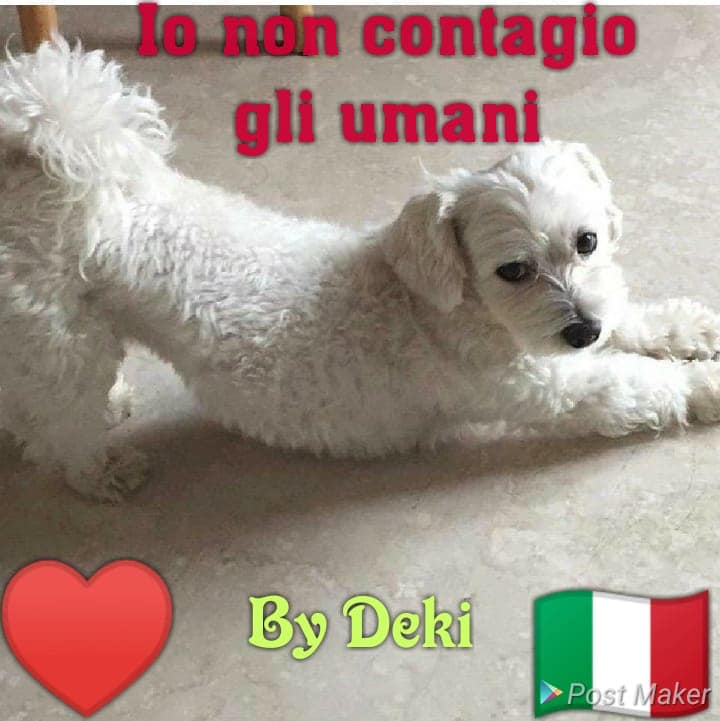 14032020Deki
